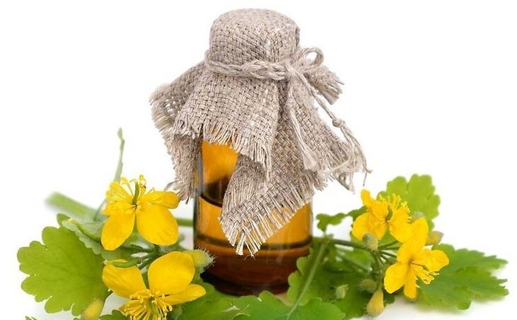 Celandine juice for home treatment of fungal infections of the feet