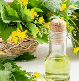 Celandine in the fight against fungus