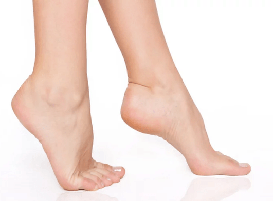 A healthy leg